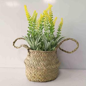 Mini plantes artificielles en pot de béton, eucalyptus, <span class=keywords><strong>romarin</strong></span>, bonsaï avec ficelle pour décoration de bureau, étagère, style farmhouse - Product Image 3
