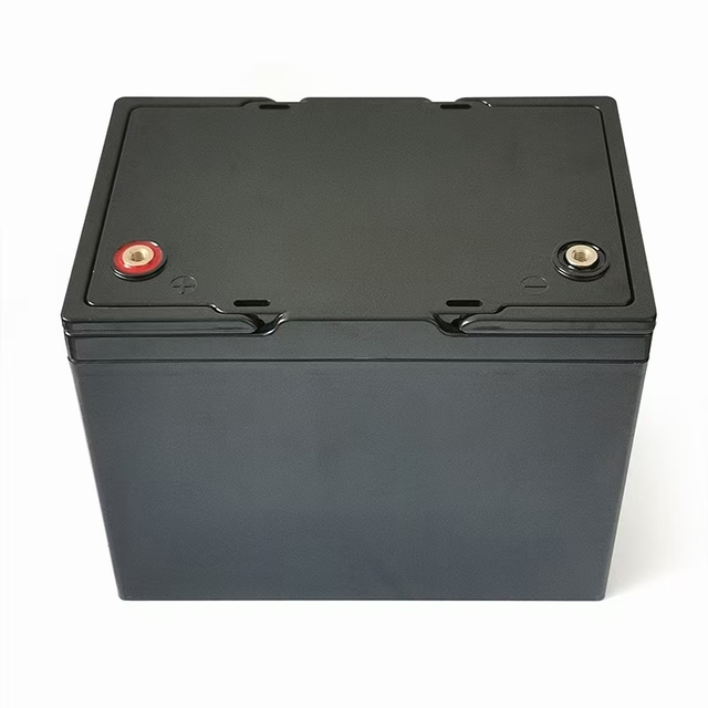 SUNPRO Lithium Deep Cycle 12V100Ah Lifepo4 Storage Battery Pack Replace Lead Acid AGM Gel Battery