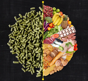 Atacado BIOZYM Turtle Food Alimentação Tartaruga Camarão Seco Comida Tartaruga Brasileira - Product Image 5