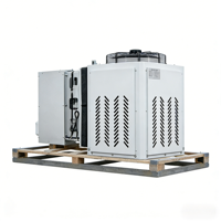 Unidad de Refrigeración Monobloque de Alta Calidad con Motor Automático de 3HP y Compresor Scroll