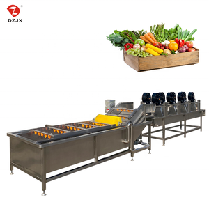 DZJX Industrial Ce Certification Spray Tomato Washer Spinach Washing Pineapple Wash Machine Fruit And Vegetable Cleaning Machine