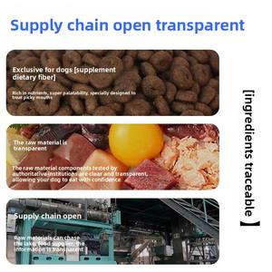 מזון יבש כלב יבש מזון כלבים יבש ללא תבואה עתיר חלבון טרי ללא תבואה ויטמינים מינרלים לגזע גדול/קטן לגורים מבוגרים - Product Image 2