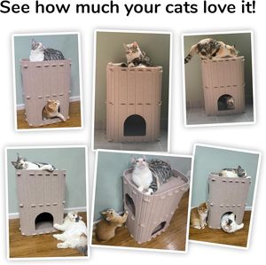 Casa para Gatos de Interior, Cama para Gatos Grande de 2 Niveles, Túnel para Gatos Cubierto de Fieltro Acogedor, Escondite para Múltiples Gatos - Product Image 3