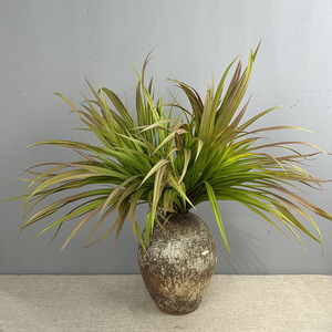 Orquídea hierba verde boda camino guía Artificial Chlorophytum cebolla hierba <span class=keywords><strong>planta</strong></span> con <span class=keywords><strong>espada</strong></span> hoja de lirio para paisajismo - Product Image 2