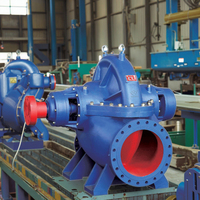 Pompe centrifuge à double aspiration à haut débit en fonte à corps divisé pour l'irrigation à grande échelle – Vente directe usine