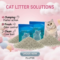 OEM Private Label Pasir Kucing Bentonit Pecah 0.5-1.2mm Sangat Menyerap Cepat Menggumpal Ramah Lingkungan