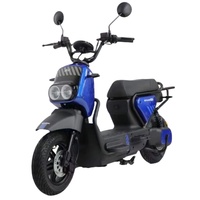 Modèle Kuma ------ Vélos électriques Ebike Moto électrique Batterie au lithium 48V 20ah Ebike Moteur 500w Vélo électrique 20 pouces