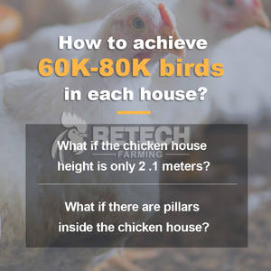 Attrezzatura per pollame con gabbia a catenina da raccolta - Product Image 5