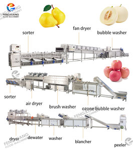 Ligne de nettoyage et de séchage de fruits sur mesure pour usine : oranges, fruits du dragon, ananas, pruneaux, agrumes - Product Image 6