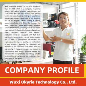 Chất lượng cao okyrie 5KW 12V/24V <span class=keywords><strong>webasto</strong></span> DIESEL đậu xe nóng trắng & đỏ-40 ~ 50 cho xe ô tô rvs & motorhomes phổ phù hợp - Product Image 5