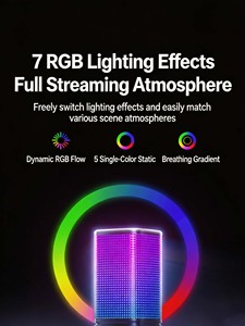 USB-C Desktop <b>Condenser</b> <b>Microphone</b> Cardioid Pickup ANS Noise Reduction RGB Gaming Mic - Product Image 2