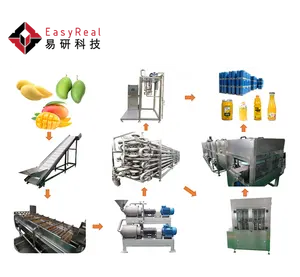 Small and High Quality Mango Pulp Processing Producing Line Mango Juice Making Machine Costs