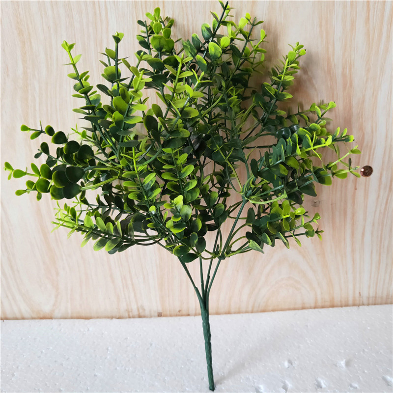 5 fork small money leaf fresh green