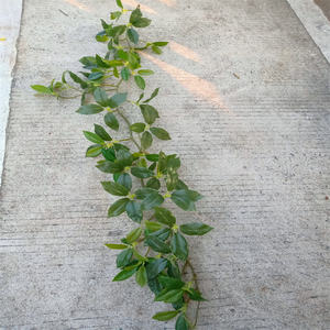 1.2m plante artificielle feuille de citron vigne maison jardin feuille verte décoration artificielle faux <span class=keywords><strong>lierre</strong></span> - Product Image 1