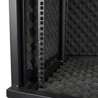 Armoire de serveur murale insonorisée WebiT 19 pouces, en acier SPCC, 600x450mm, certifiée CE ISO, charge statique 60KG