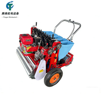 Planteuse d'ail manuelle à 3/4/5/6 rangs à prix abordable – Semoir d'ail agricole haute capacité
