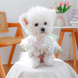 Falda de Princesa Ecológica de Verano para Perros Pequeños, Estilo Clásico, Vestido Estampado de Poliéster de Alta Calidad, Año Nuevo - Product Image 5