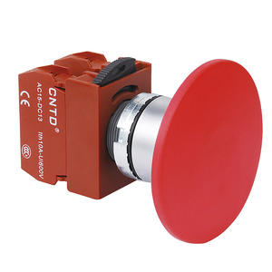 CNTD Changde C2PNM6 Interruptor de Botón Grande de Reinicio Automático, Botón Pulsador Momentáneo de Plástico, Tamaño 60, Apertura 22, 12V Máx. Control - Product Image 1