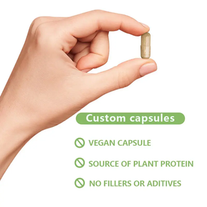 Atacado natural ervas suplemento <span class=keywords><strong>ganoderma</strong></span> <span class=keywords><strong>lucidum</strong></span> cogumelo reishi cápsulas