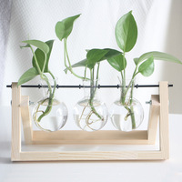 Vase à bulbes Terrarium en verre avec support rétro en bois Support pivotant en métal pour la maison Jardin Décoration de mariage Pots de fleurs Jardinières