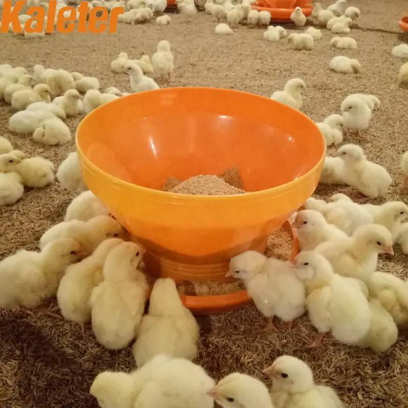 Chicks Feeders and Drinkers Bucket Baby Chicken Feed Tray Plastic Turbo Feeder Bulk Poultry Farming Day old Feeding Bowl