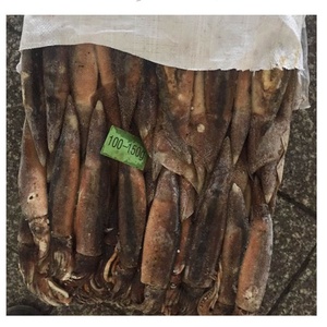 Mực Illex Đông Lạnh 200-300G - Product Image 2