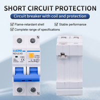Disjoncteur différentiel électronique 2P 63A 30mA MCB RCCB RCBO de protection miniature contre les surcharges et les courts-circuits en plastique