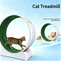 Grand tapis roulant pour chat, roue de course silencieuse pour chat, arbre à chat surélevé de grande taille, jouet d'exercice pour chats et chiens