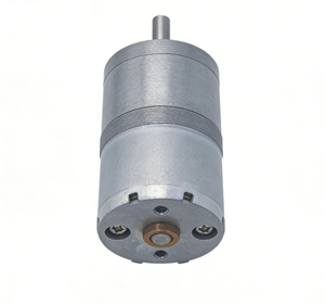 <span class=keywords><strong>Moteur</strong></span> à courant continu à engrenages droits 25A310 de 25 mm de diamètre, <span class=keywords><strong>petit</strong></span>, à couple élevé et faible régime, <span class=keywords><strong>pour</strong></span> voiture RC et modèle de jouet - Product Image 5