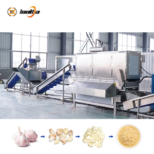 Impianto di Lavorazione dell'Aglio con <span class=keywords><strong>Separatore</strong></span> Automatico dei Bulbi, Macchina Pelatrice, <span class=keywords><strong>Lavatrice</strong></span> e <span class=keywords><strong>Asciugatrice</strong></span> Industriale e Attrezzatura per la Macinazione - Product Image 5