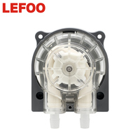 Pompe péristaltique réglable LEFOO pour la dosage de produits chimiques de piscine, 100-280 ml/min haute précision, 12V/24V DC