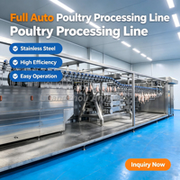 Ligne d'abattage de volailles pour abattoir commercial, machine de traitement de poulet prête à l'emploi 800BPH, solution clé en main