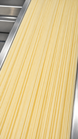 Machine extrudeuse de nouilles automatique à moteur, haute capacité 250 kg/h, acier inoxydable de qualité alimentaire, facile à utiliser, hôtels