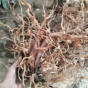 De nombreuses branches en rotin, bois <span class=keywords><strong>naturel</strong></span>, bois flotté, <span class=keywords><strong>aquarium</strong></span>, réservoir à poissons, plante d'<span class=keywords><strong>aquarium</strong></span> pour la décoration - Product Image 4