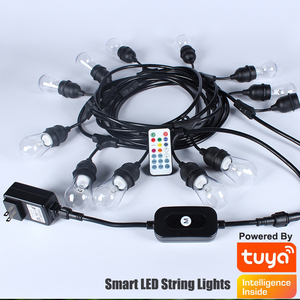 Liên hoan Đảng chiếu sáng với RGB thay đổi màu sắc tùy chọn IP65 không thấm nước 48ft chiều dài cho sự kiện ngoài trời trang trí - Product Image 3