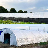 Film plastique pour serre blanc à 55% d'ombrage, couverture en polyéthylène, 5MIL 6MIL, film de serre agricole pour plantes