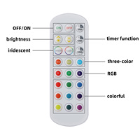 Ampoule LED de nuit avec télécommande, lumière décorative colorée RGB pour chambre à coucher, fête, mariage, Noël, camping