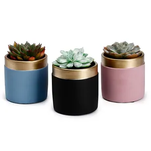 Custom Cement Flower Pots With Gold Rim on Top