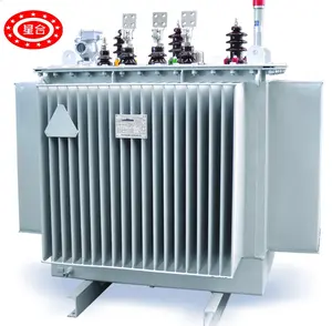 Một pha đến ba pha 650 KVA 1000kva 1500 KVA 11kv 15KV dầu đắm mình biến áp phân phối