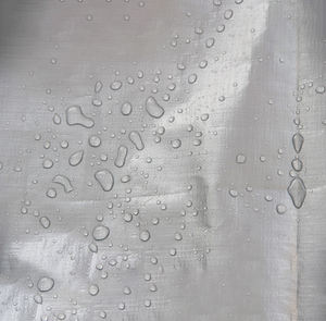 Serre à éclairage naturel transparente, film spécial, semis agricole, protection contre la pluie et le soleil, taille personnalisée - Product Image 4