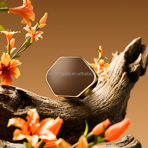 2024 Best Sellers Metal Car Air Freshener <strong>Diffuser</strong> Custom Night Light Aroma <strong>Diffuser</strong> Car Fragrance - Product Image 5