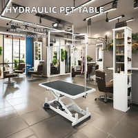 Table de toilettage hydraulique pour chien en acier inoxydable de style simple avec conception en plastique pour les soins des animaux de compagnie