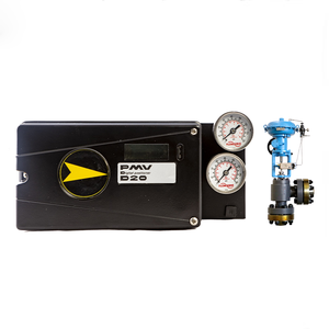 Paquete Completo de Instalación y Comisiónamiento Digital PMV D20 con WuZhong China - Product Image 5