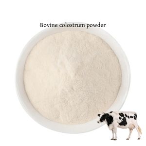 Immuniteit Boost Rundercolostrum Poeder Darmgezondheid Igg 20% Gevriesdroogd Rundercolostrum Poeder - Product Image 3