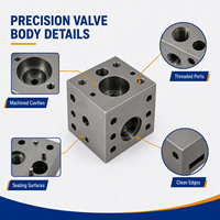 Bloc de collecteur de soupape en laiton et acier usiné sur mesure par CNC pour équipement de contrôle pneumatique et hydraulique, pièces de contrôle de fluides