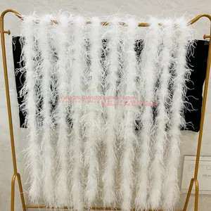 Leading Ostrich Feather Supplier For Feather Product Sales Cheaper 1 ply 2 meters Ostrich Feather Boa Trimming