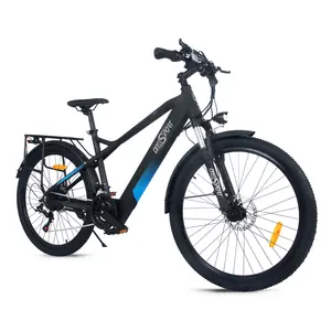 33/5000 21 단 전기 자전거 비용 효율적인 가게 판매 도매 성인 350wE 자전거 전기 자전거