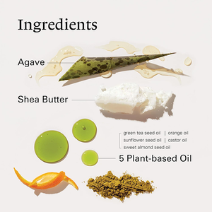Bálsamo labial natural <span class=keywords><strong>Agave</strong></span> Vegan Fórmula 5 Aceite a base <span class=keywords><strong>de</strong></span> plantas Textura suave y sedosa para labios agrietados Hidratante - Product Image 3