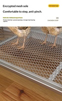 Poulailler de luxe en fer forgé pour l'intérieur, grande capacité, directement de l'usine, pour poulets, pigeons, canards et oies