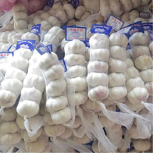 <span class=keywords><strong>Ajo</strong></span> Crudo de Piel Morada Característico de Henan, Cultivado con Cuidado, Picante y Especiado, Gran Éxito de Ventas en Todo el Mundo - Product Image 1